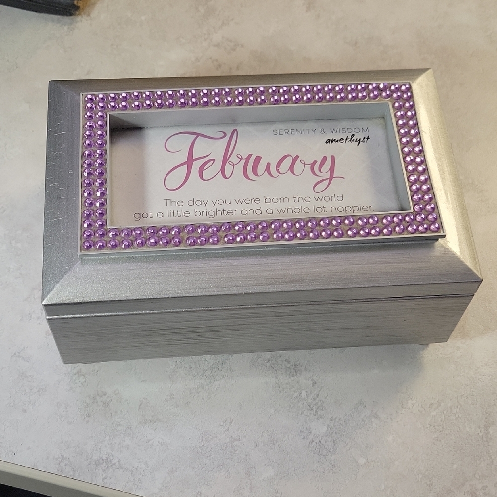 Silver Jewelry Organizer with Purple Accents